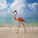 Brenda Ayers - @windsock88 - Twitter