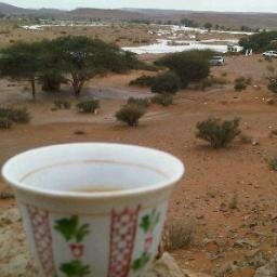 AmenoAhmd's profile picture. 