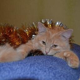 sandra_oleksa's profile picture. 