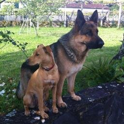 Lukaykira's profile picture. 