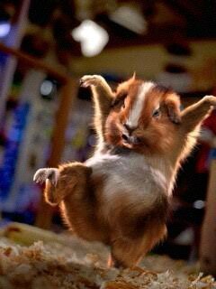 sys_ua's profile picture. 