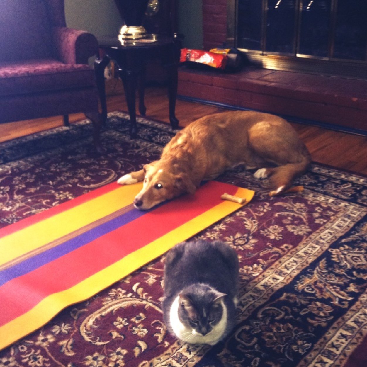 teeling9578's profile picture. 