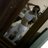Profile Picture of Ariana Perez Ledesma (@@arianaperezled1) on Twitter