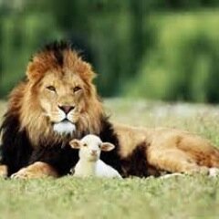 48 Year Public School Educator; 37 Year Football Coach; Most Significant Title: Dad and G-Dad
