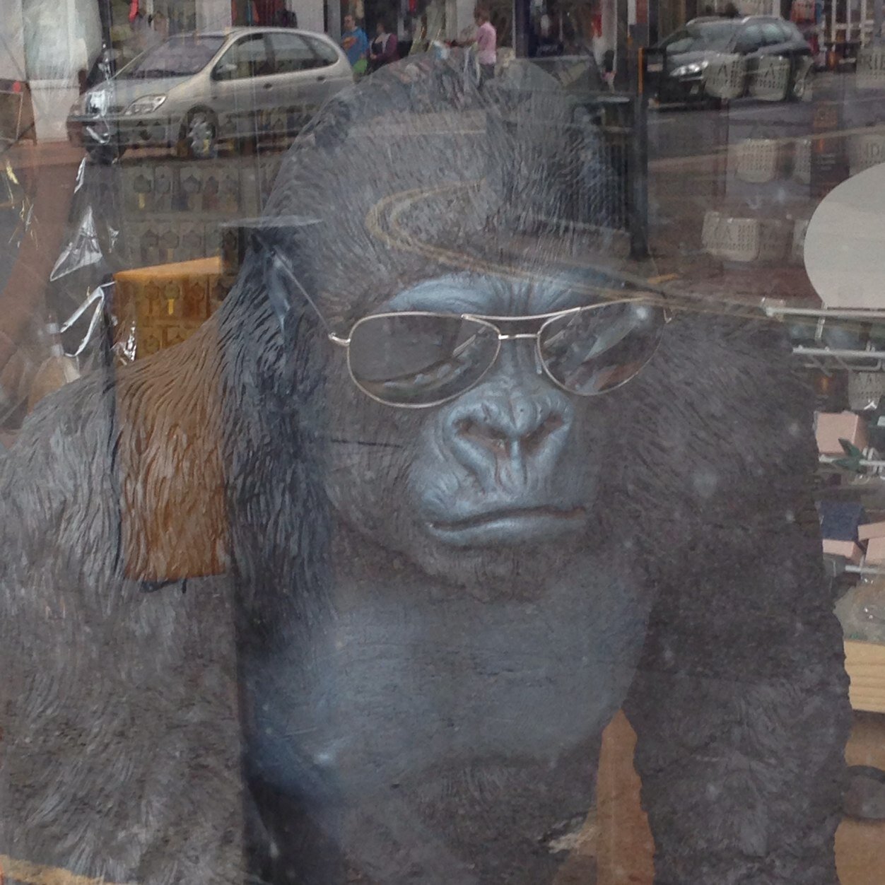 Beechy89's profile picture. 