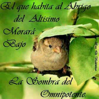 Tachirense.
