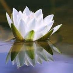 rmariahle's profile picture. Hago cosas..