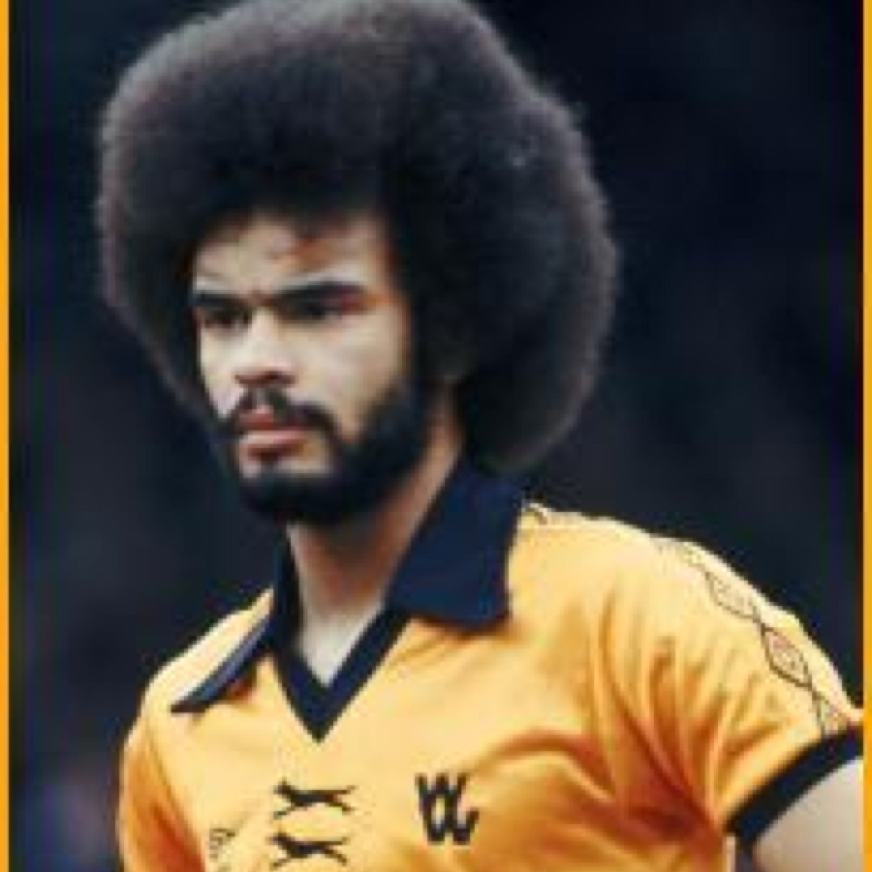 wwfc