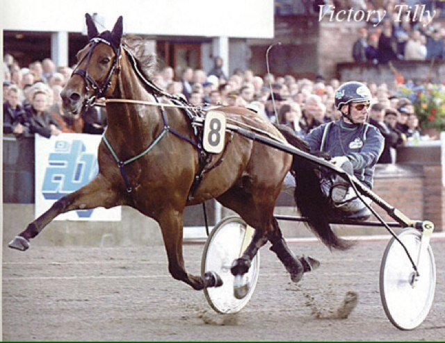 Sport och spel. Trav!