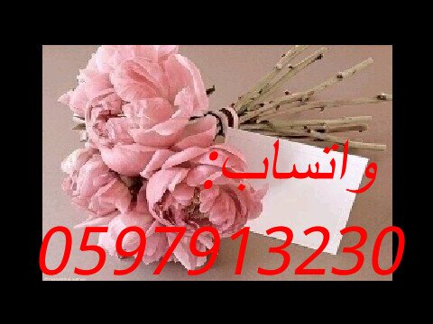 @ mjaredhlm&   وresmtekhlm تابعوناعلى استقرام لتسعدوبكل جديد