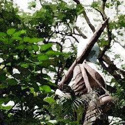 phecon's profile picture. 