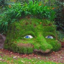 SSbigaje's profile picture. 