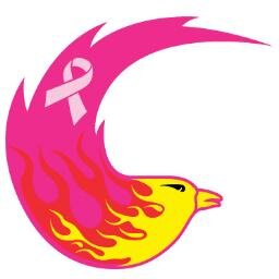 PDXPinkPhoenix's profile picture. Empowering #breastcancer survivors through the sport of #dragonboating. Est. 1997 in #Portland, Oregon. An all-volunteer 501(c)3 nonprofit.