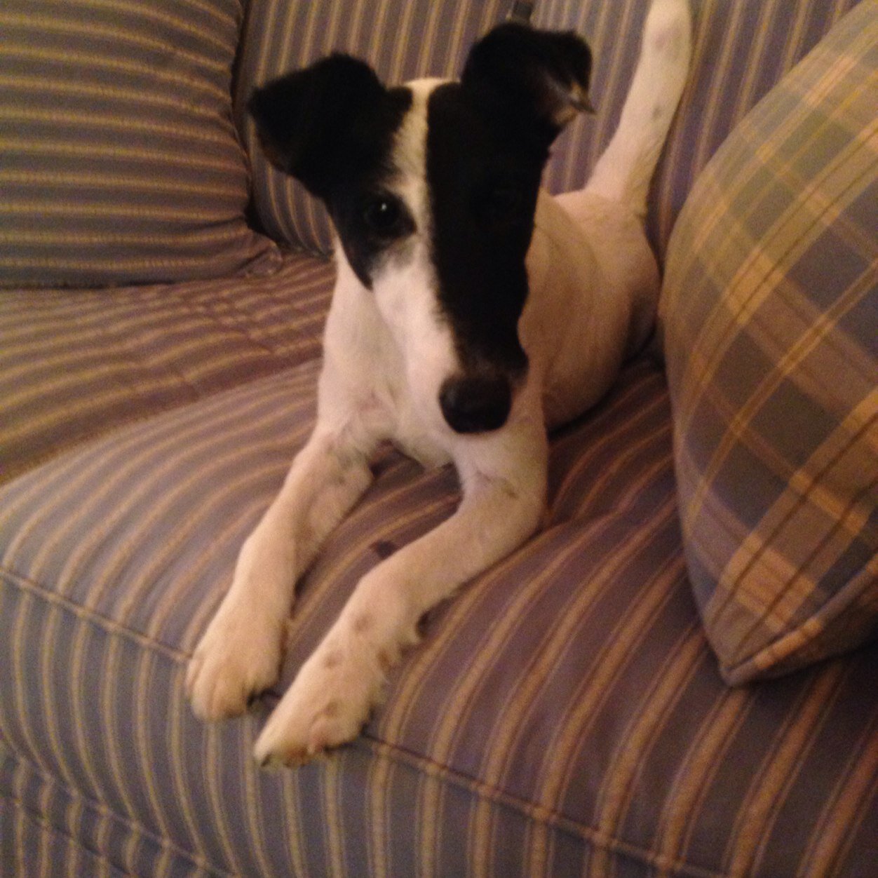 JamesKeaveny's profile picture. 