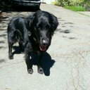 Tad Cole - @Marinatedhippo - Twitter