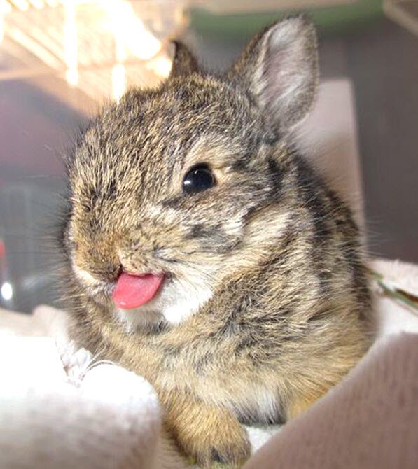 BUMPと動物とみかんが大好きです！
気軽にフォローしてください！

BUMP/みかん/動物/車/鬱/ロードラ/LINE/LINEPLAY/ポジティブ/茨城/メガネ/水族館/動物園/カラオケ