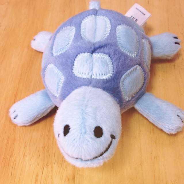 まめこです