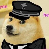 Team Doge (@dogeteam) Twitter profile photo