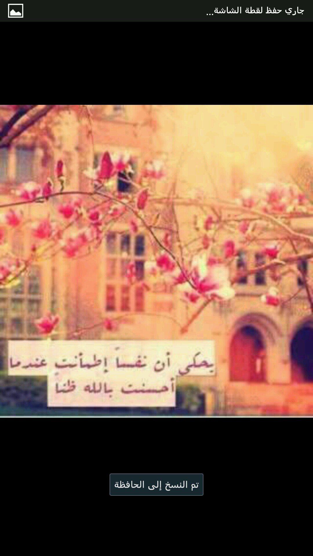 foxox200955's profile picture. انسانه تعشق والدتها وكل الخير