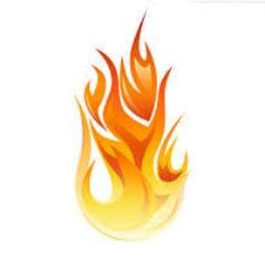 FireTournaments's profile picture. Professional Call of Duty Tournament Hosting