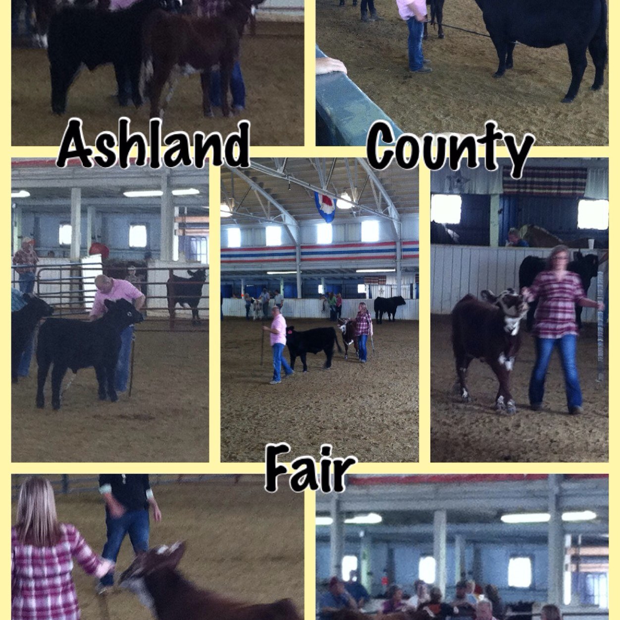 Just a small town and small breeder with the dreams of going big!! Im a no body moving towards being some body! Just trying to rasie good cattle!
