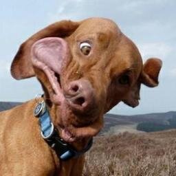 GabrielaG_86's profile picture. Los mejores momentos de mi vida los paso con vos.