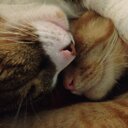 Pilar Blanco y Pinol - @PilarByP - Twitter