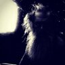 RickRubin's profile picture. music enthusiast