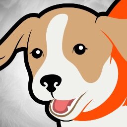 BeagleVoador's profile picture. 