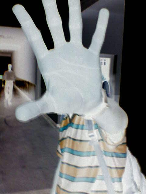 AliKS8789's profile picture. 