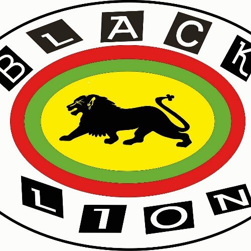 KEEP REPRESENT IN THE LION IN YOU..