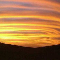 just me (@fl_2005) 's Twitter Profile