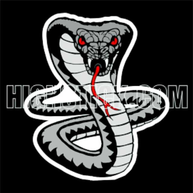 cobras1508's profile picture. Power in vision, success in action.