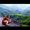 Eden Williams - @Wigzy23 - Twitter