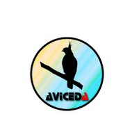 AVICEDA BALI  (@avicedaapparel) 's Twitter Profile