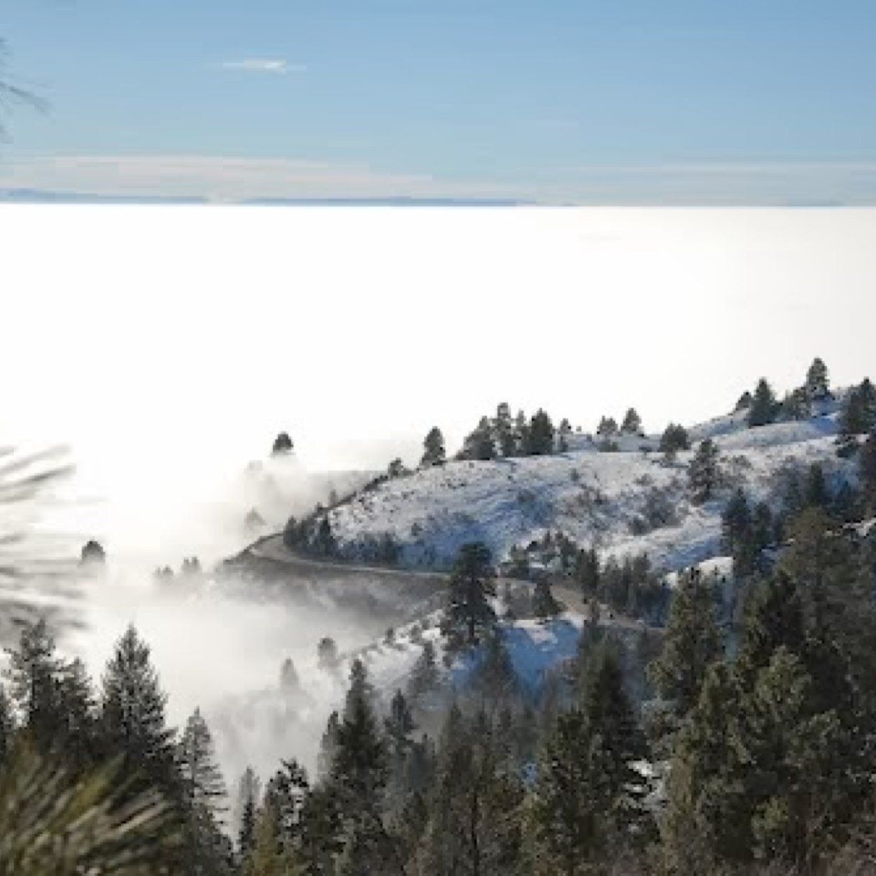 Official twitter account for the Boise Inversion.
