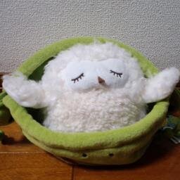 理 Aya Riy Twitter 理 Aya Riy Twitter