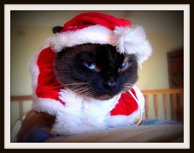 jme2420's profile picture. Be yourself. Everyone else is taken.