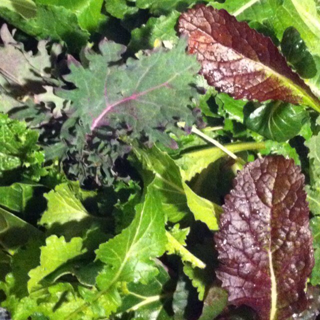 Recipes by the season from garden to table from our family to yours. Our blog: http://t.co/szeZz537 Or Facebook: http://t.co/I7JbW6j4
