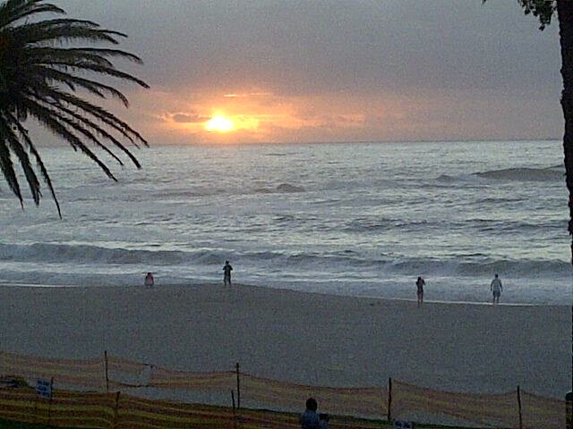 groovamology's profile picture. 