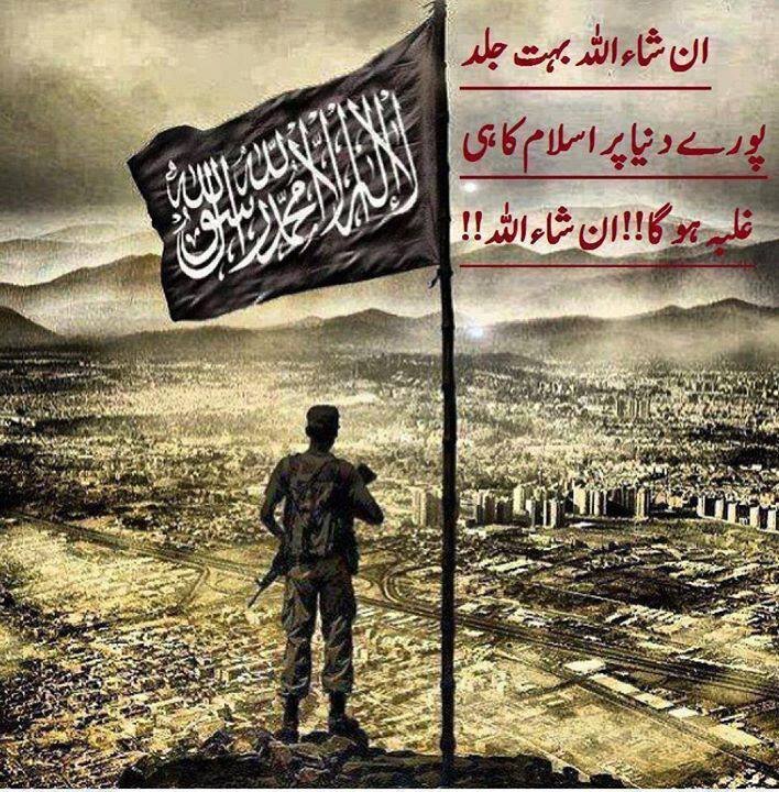 bwork86's profile picture. 