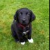 Elaine Brooks (@elaineb62746282) Twitter profile photo