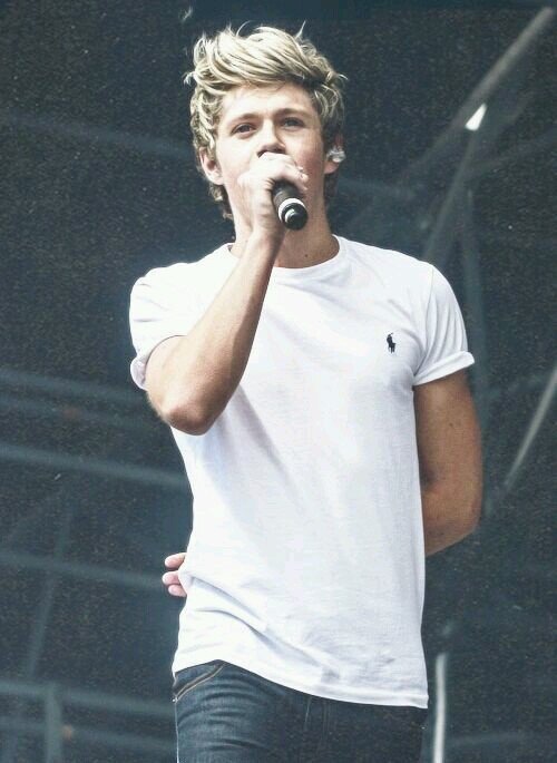 la da dee niall is not gonna notice me | follow me on @zialldenim too