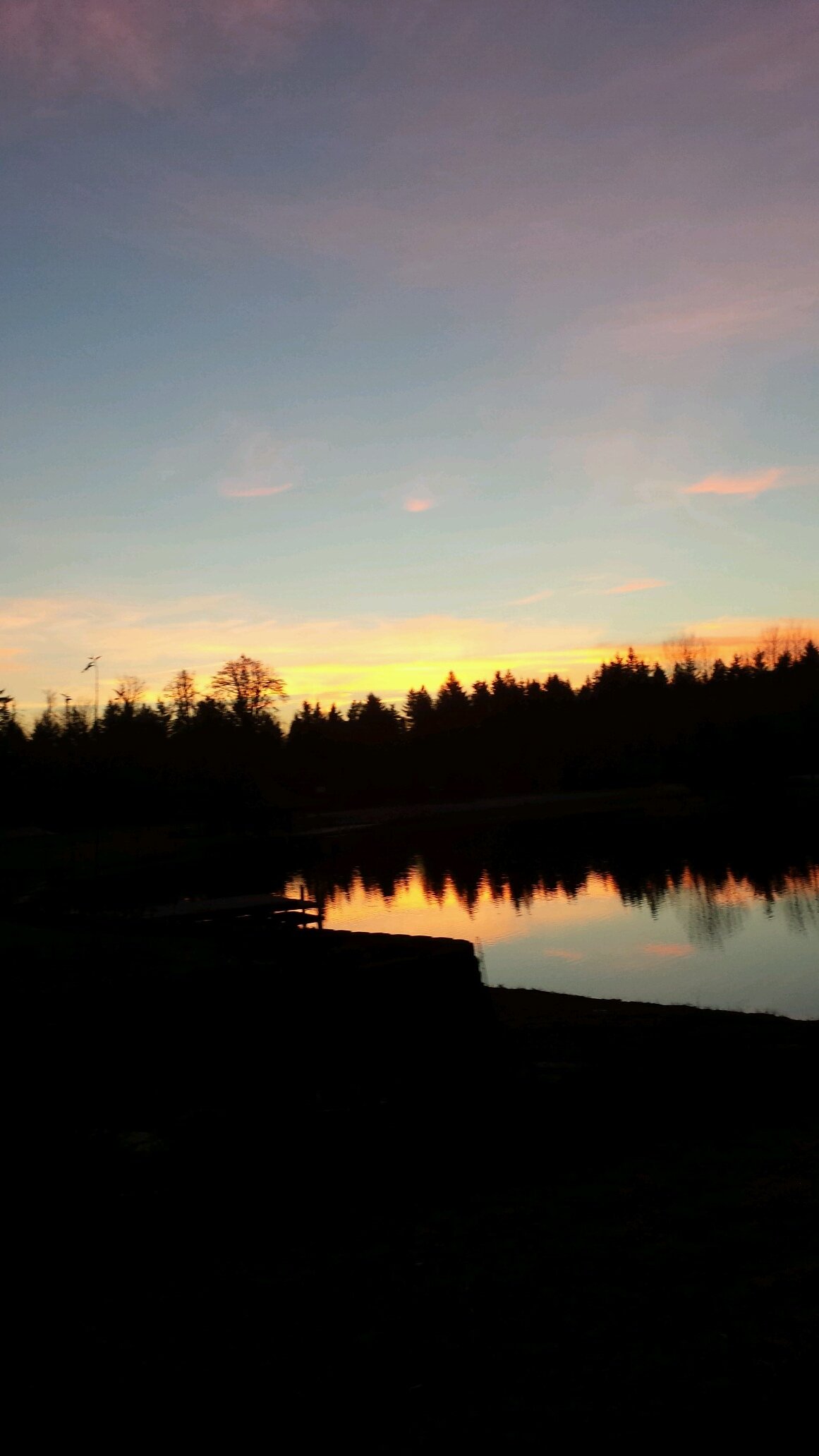 victor_berndt's profile picture. 