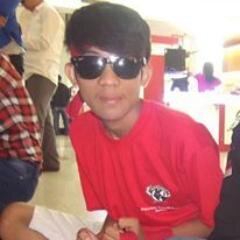 29_11_1995 NDS  (amik bina sriwijaya)