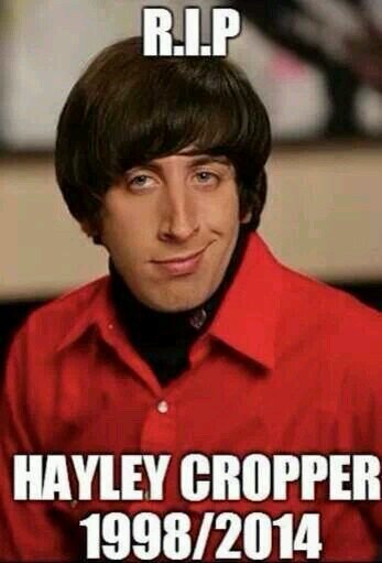 CampsRoss's profile picture. 