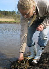 Working as wetland coordinator at WWF Finland.
