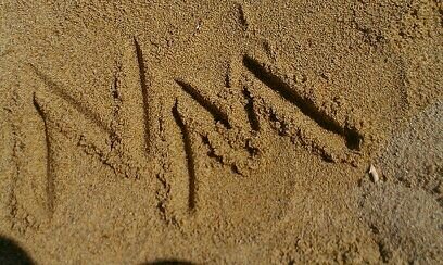 nmserin's profile picture. 