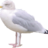 UKbirdman's profile image