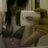 akukamu_www's profile image
